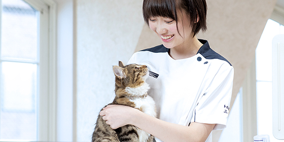 コース紹介