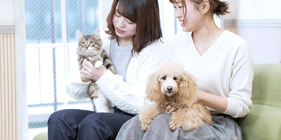 学校の特長